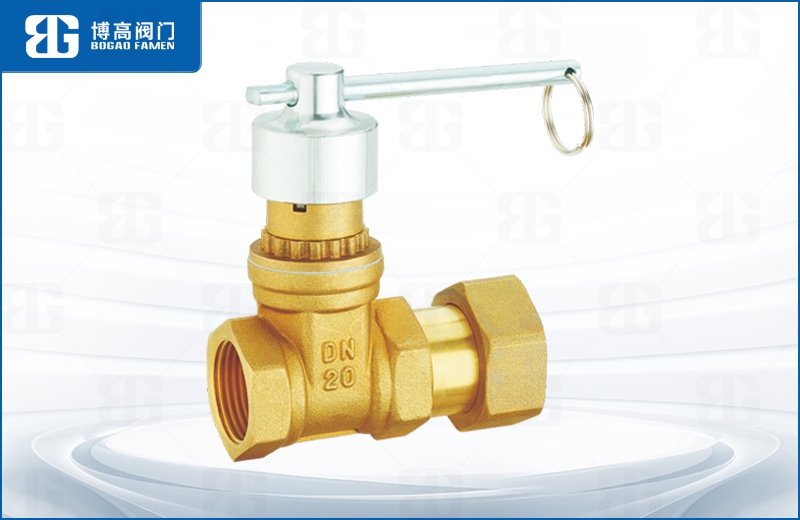 磁性(xing)鎖閉活(huó)接止回(huí)閘閥